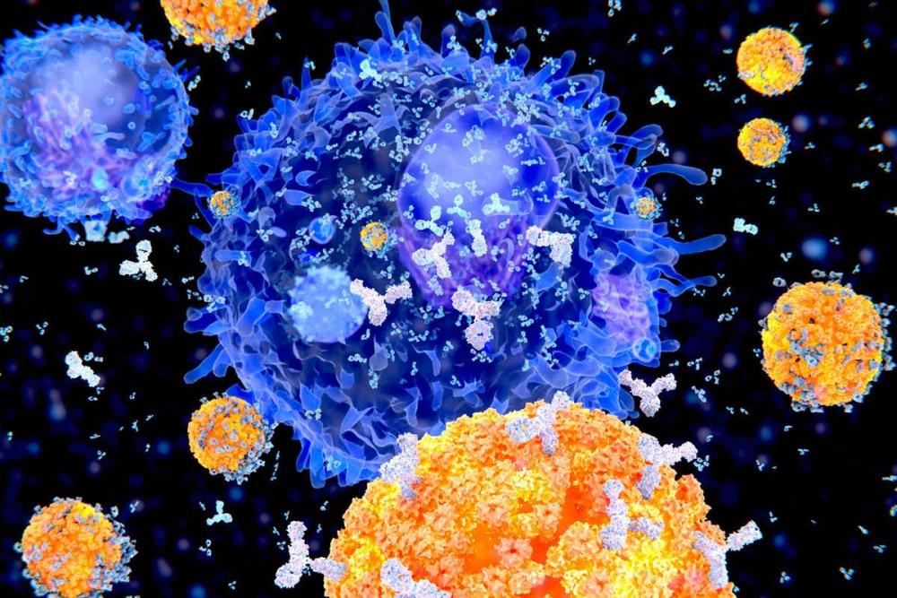 Covid. Essere positivi agli anticorpi scongiura una futura reinfezione? Infermieristicamente Covid. Essere positivi agli anticorpi scongiura una futura reinfezione? Infermieristicamente